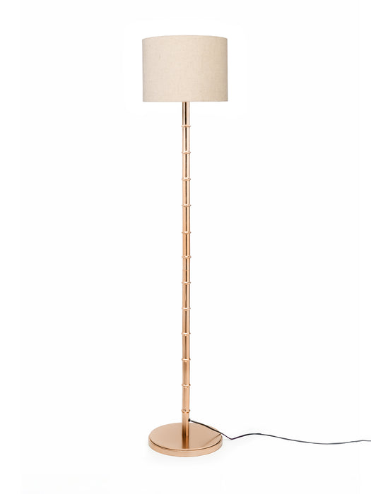 color-Cream