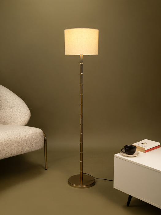 color-Cream