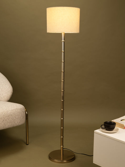 color-Cream