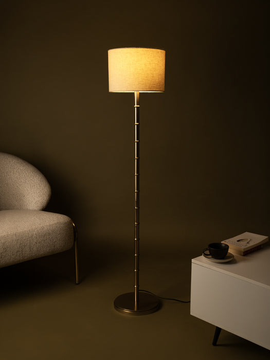 color-Cream