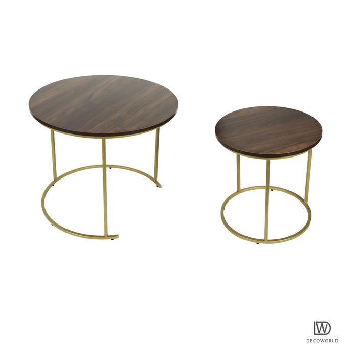 Premium Coffee Table (Wooden Top with Golden Legs)