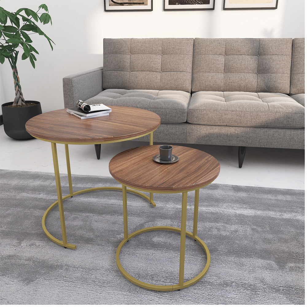 Premium Coffee Table (Wooden Top with Golden Legs)