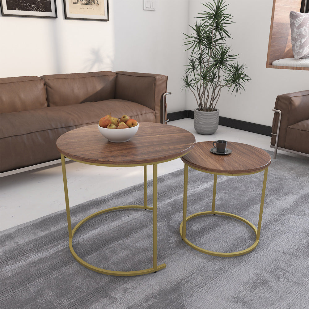 Premium Coffee Table (Wooden Top with Golden Legs)