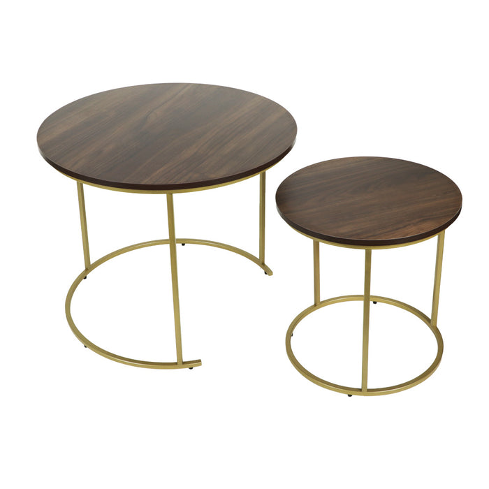 Premium Coffee Table (Wooden Top with Golden Legs)