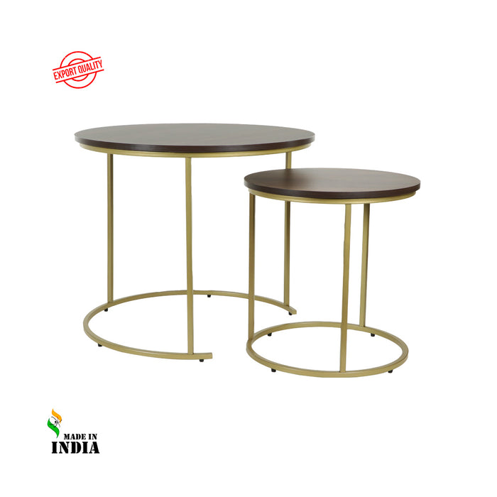 Premium Coffee Table (Wooden Top with Golden Legs)