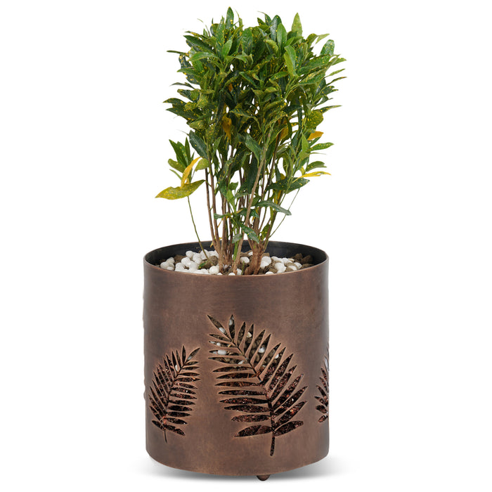 Laser Cut Planter - Leaf Design ( Medium )