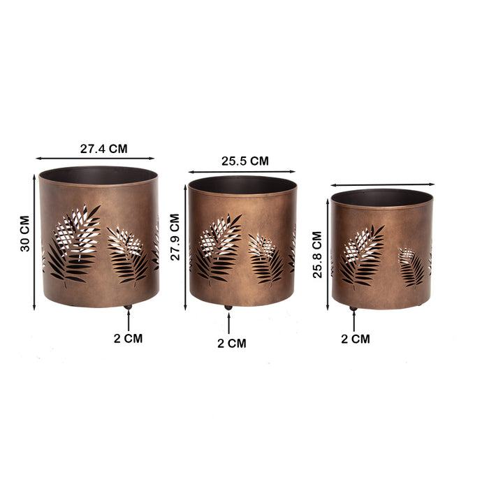 Laser Cut Planter - Leaf Design ( Set Of 3 )