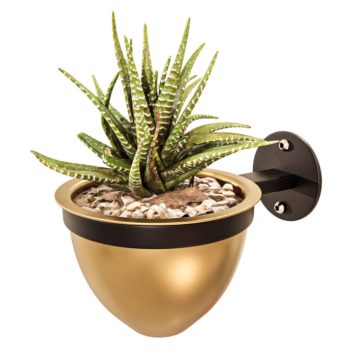 Wall Mount Planter (Pack of 1)