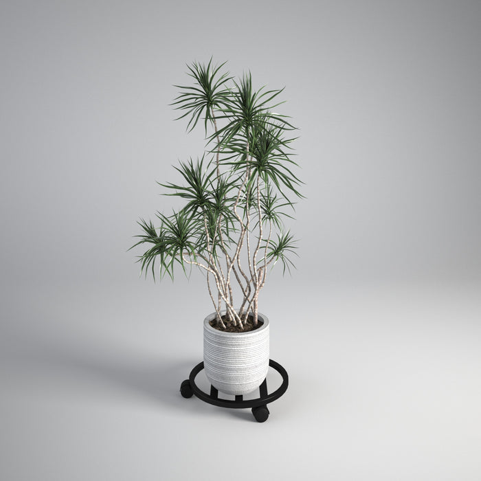 Round-Plant-Stand